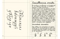 Manuela per Calligrafia Cancelleresca