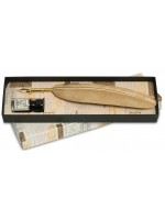 Penna Stilografica con Piuma dorata e inchiostro