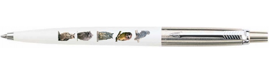 Parker Jotter Fantasy - Owl