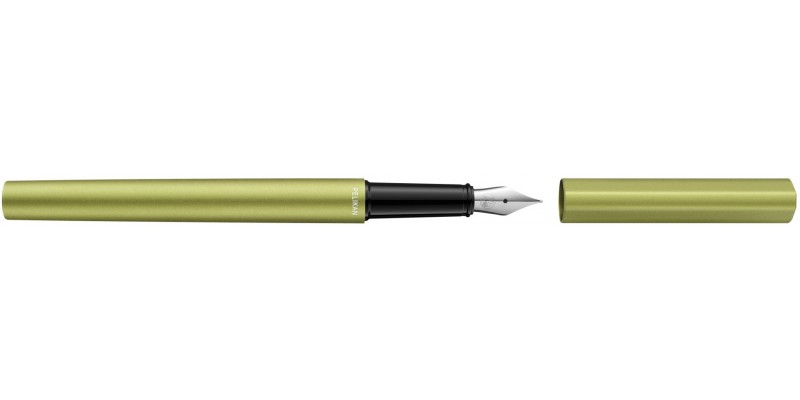 Pelikan Ineo Green Oasis Stilografica