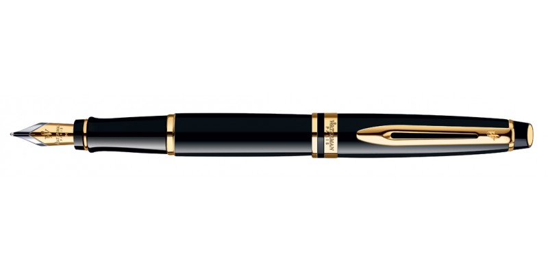 Waterman Expert - Stilografica 