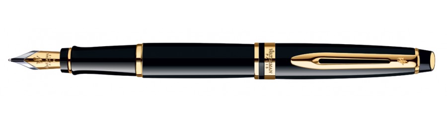 Waterman Expert - Stilografica 